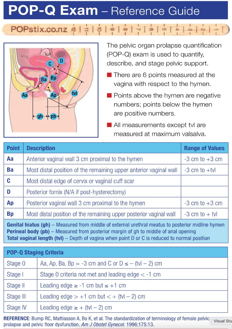 POP-Q exam reference guide